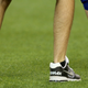 Illustration for article titled The Blue Jays Won't Sell Beer Cans In The Upper Deck
